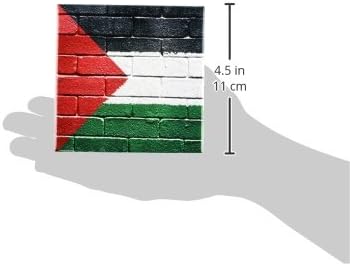 3drose CST_156963_3 דגל לאומי של פלסטין צבוע על רכבת אריחי קרמיקה פלסטינית קיר לבנים